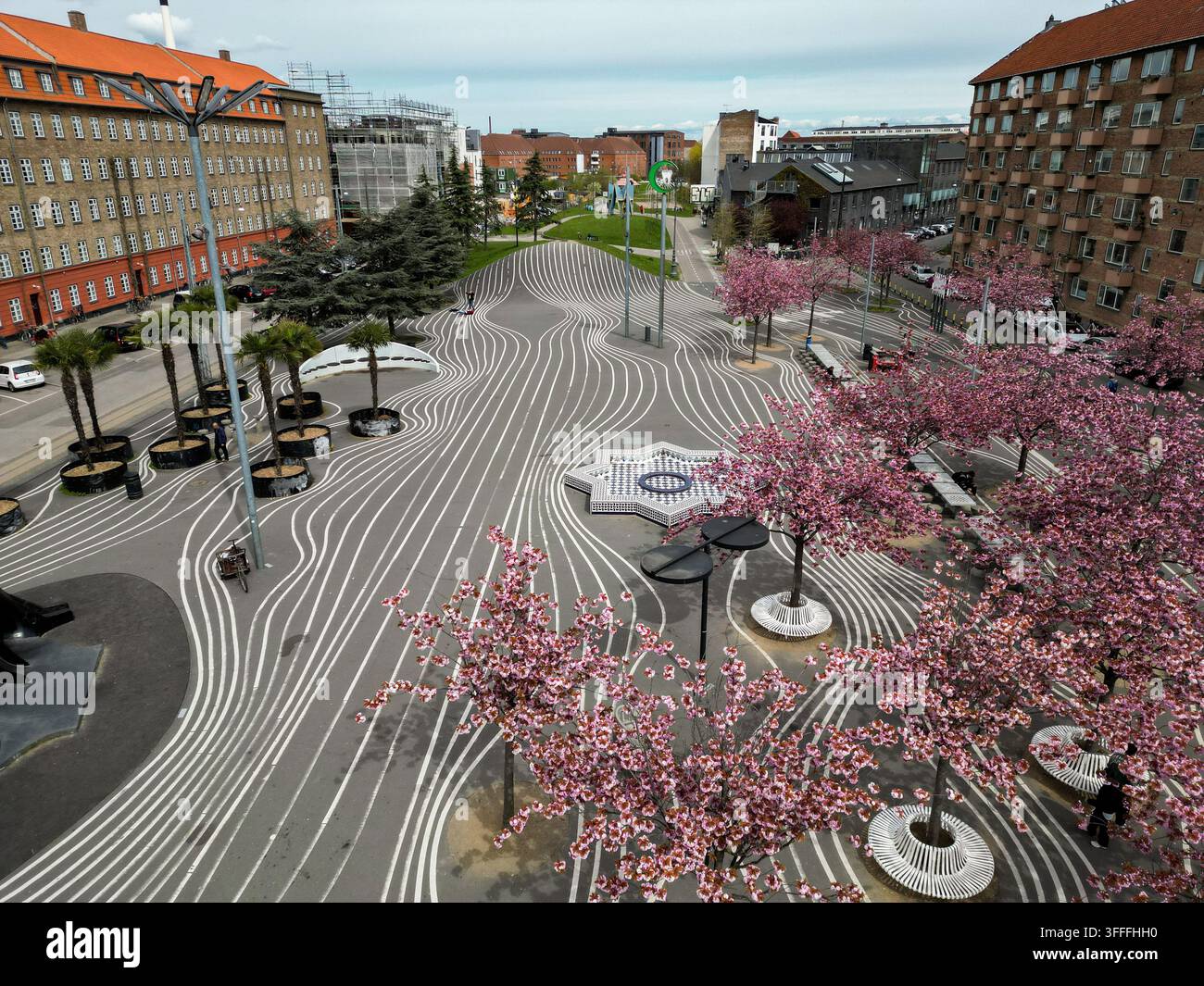 Veduta aerea del parco Superkilen con il suo iconico asfalto nero con linee bianche a onde, alberi di ciliegio in fiore e elementi di design urbano moderno Foto Stock