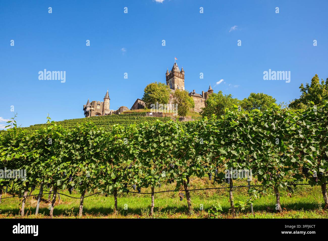Architettura paesaggistica medievale di vigneto con una fortezza storica su una collina, viti verdi e un cielo blu limpido Foto Stock