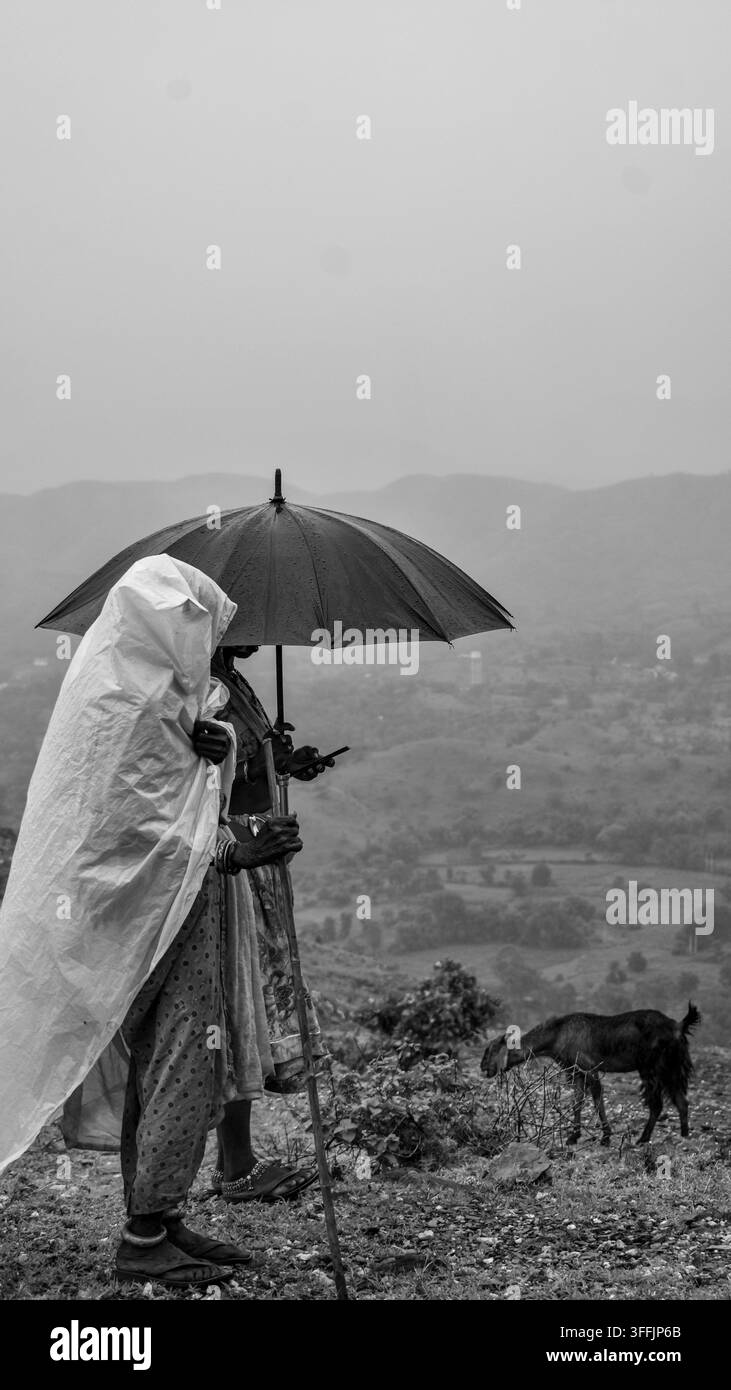 Pastore di capre che cammina con un gregge di capre attraverso le montagne durante il tempo piovoso donne che usano uno smartphone Foto Stock