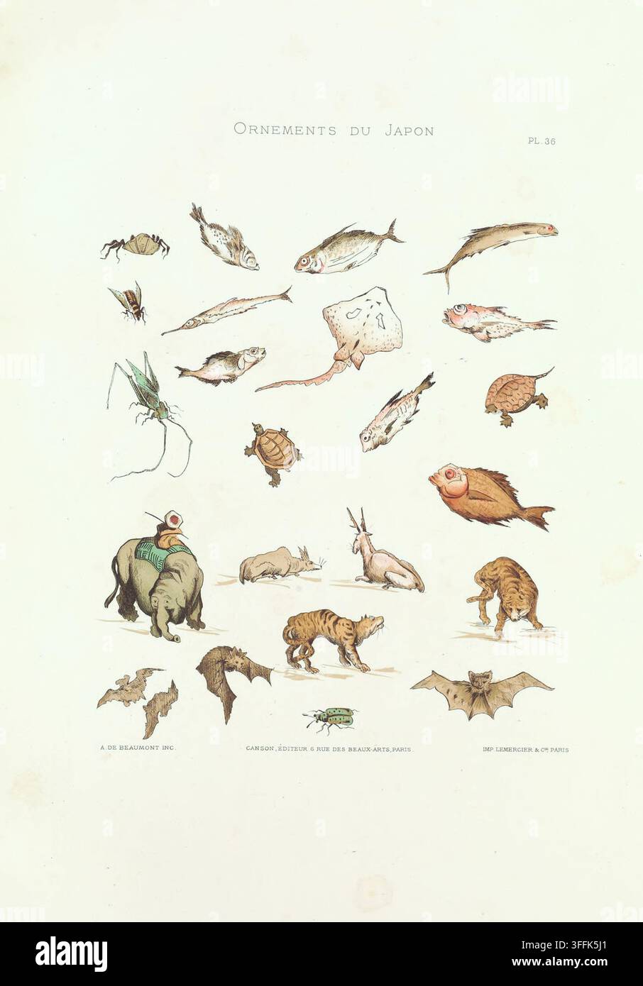Pesci e animali. 1883 Questa bellissima illustrazione presenta un layout stravagante ed enciclopedico di vari animali, sia acquatici che terrestri. La sezione superiore è riempita con una varietà di pesci, granchi e creature marine, tra cui una razza, una tartaruga e un pesce volante. La fila centrale introduce animali terrestri come un elefante (cavalcato da una piccola figura), conigli, una tigre, un'antilope e altre tartarughe. La fila inferiore è dedicata ai mammiferi volanti e agli insetti, con diversi pipistrelli in varie posizioni delle ali e uno scarabeo prominente. Foto Stock