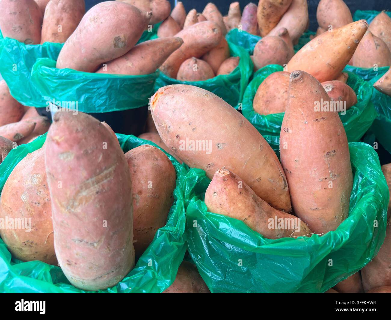 Secchi pieni di patate dolci (Ipomoea batatas) esposti in vendita nel mercato locale Foto Stock