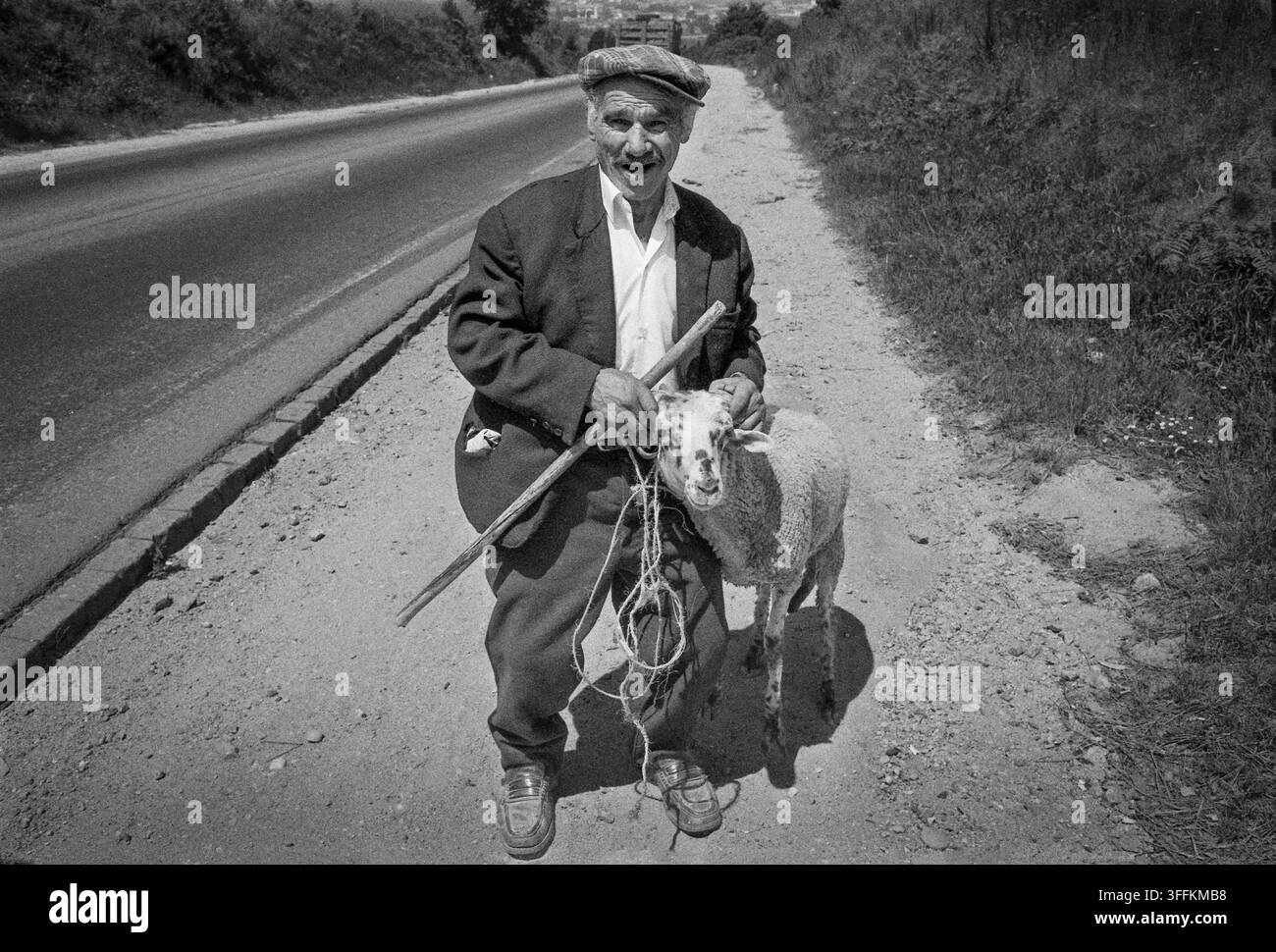 Portogallo, agosto 1979: un contadino o pastore su una strada di campagna tiene un pecora con una corda. Foto Stock