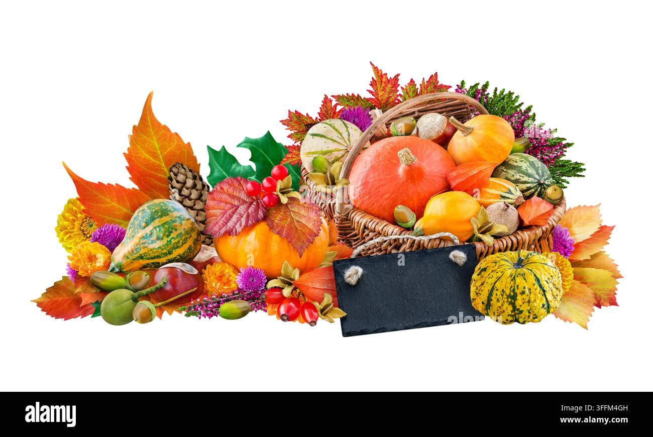 Decorazioni autunnali e naturali con castagne, zucche, etichetta e fiori isolati su sfondo bianco Foto Stock