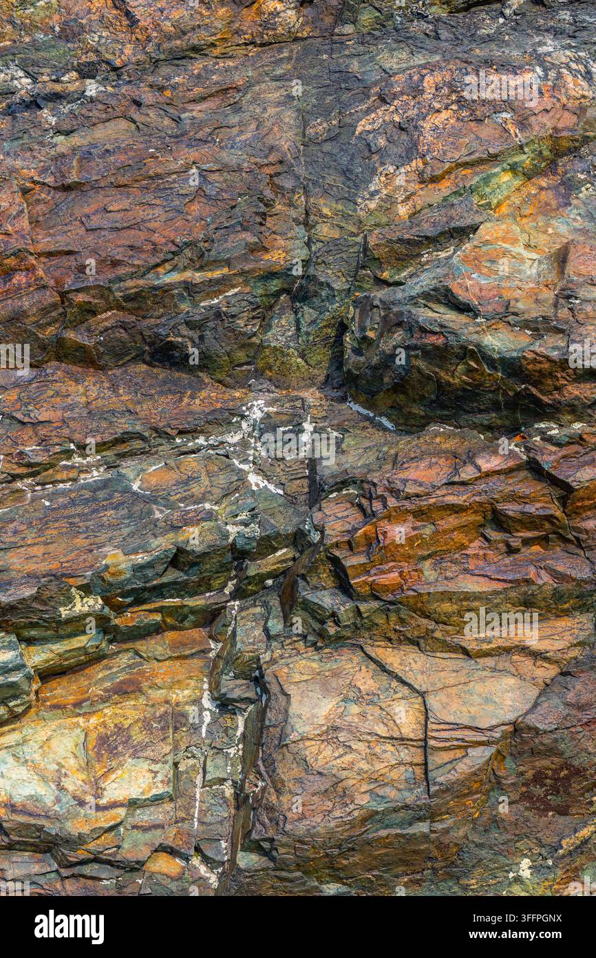 Un primo piano cattura le intricate texture e colori di una parete rocciosa. Varie tonalità di grigio, marrone, arancione e verde creano un motivo naturale straordinario. Foto Stock