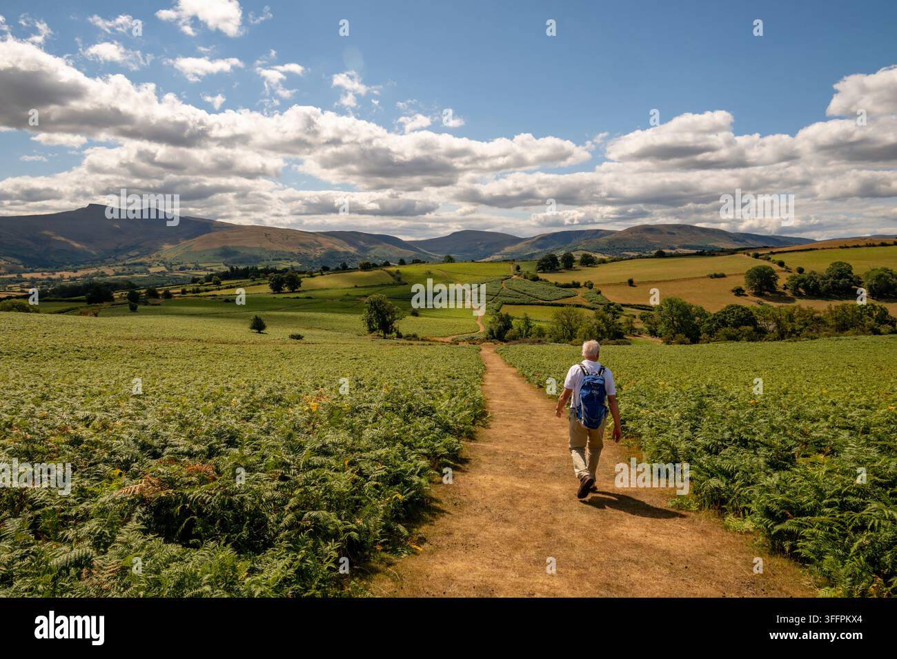 Un escursionista solitario cammina lungo un sentiero sterrato circondato da campi verdeggianti e lontane colline ondulate sotto un cielo nuvoloso Foto Stock