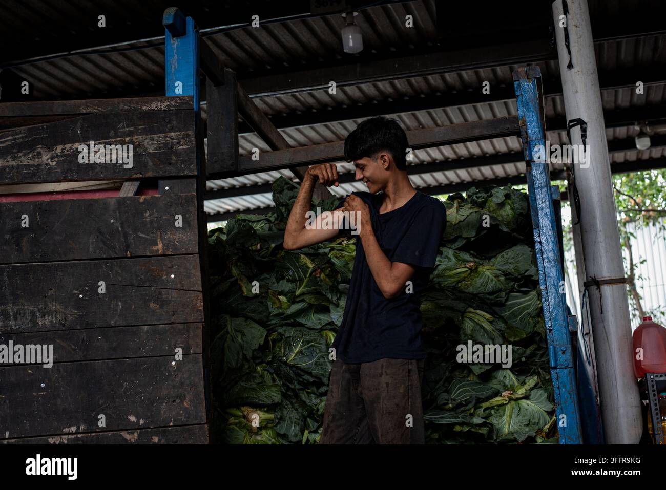 Pescatore che maneggia pesce fresco a uno stand di frutti di mare al mercato La Tiendona a San Salvador, El Salvador. Foto Stock