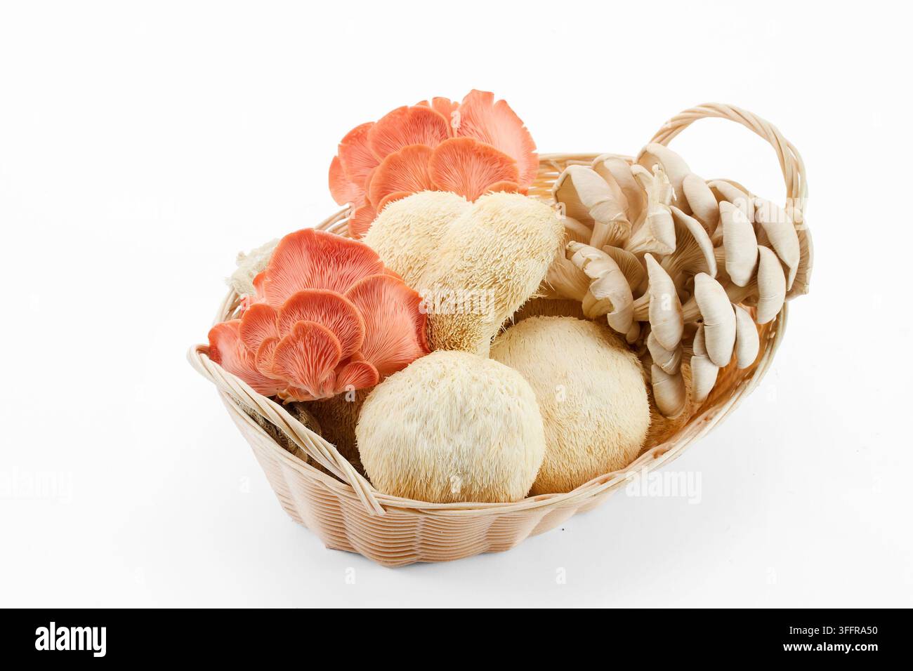 Funghi culinari freschi in un cesto su sfondo bianco Foto Stock