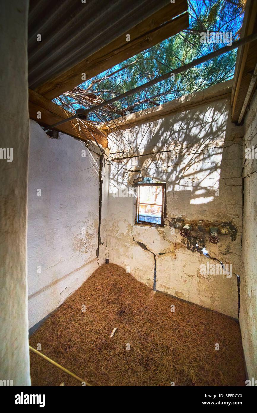 Gruppo di studenti Interno del bagno del deserto con pareti incrinate e pavimento coperto di detriti, Ospiti del Centro di studi del deserto Foto Stock