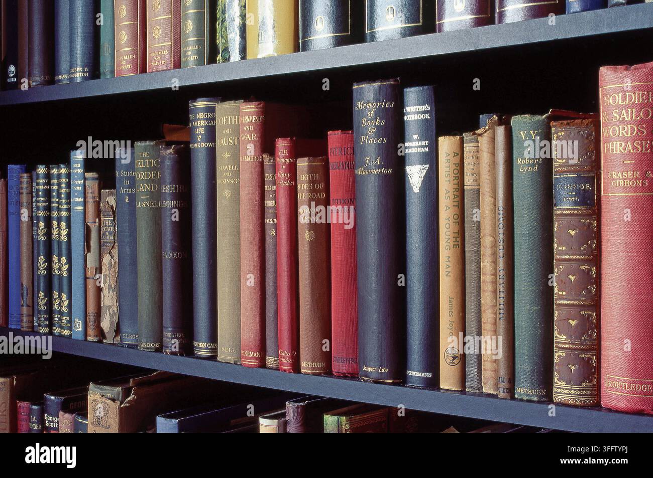 LIBRERIA DI VARI LIBRI VINTAGE RIGILDI IN UNA BIBLIOTECA PRIVATA. Foto Stock