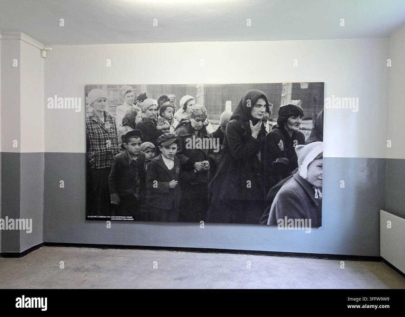 Campo di sterminio nazista di Auschwitz II-Birkenau nel sud della Polonia. - Immagine stock catturata con smartphone