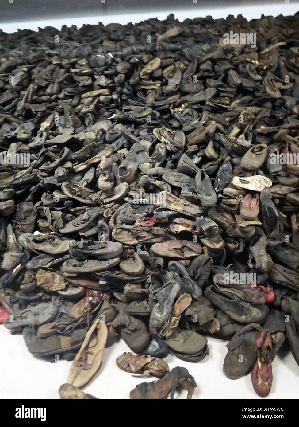 Campo di sterminio nazista di Auschwitz II-Birkenau nel sud della Polonia. - Immagine stock catturata con smartphone