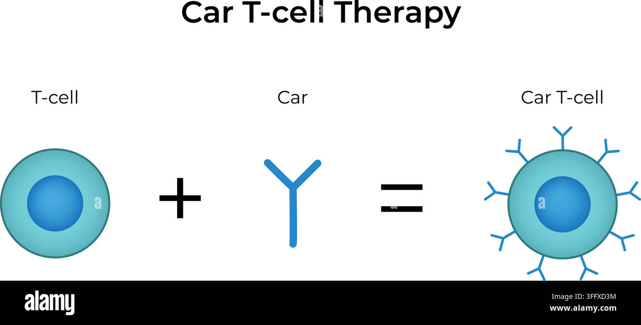 Terapia con cellule CAR che mostra l'ingegneria di cellule T con espressione di recettore antigenico chimérico Illustrazione Vettoriale