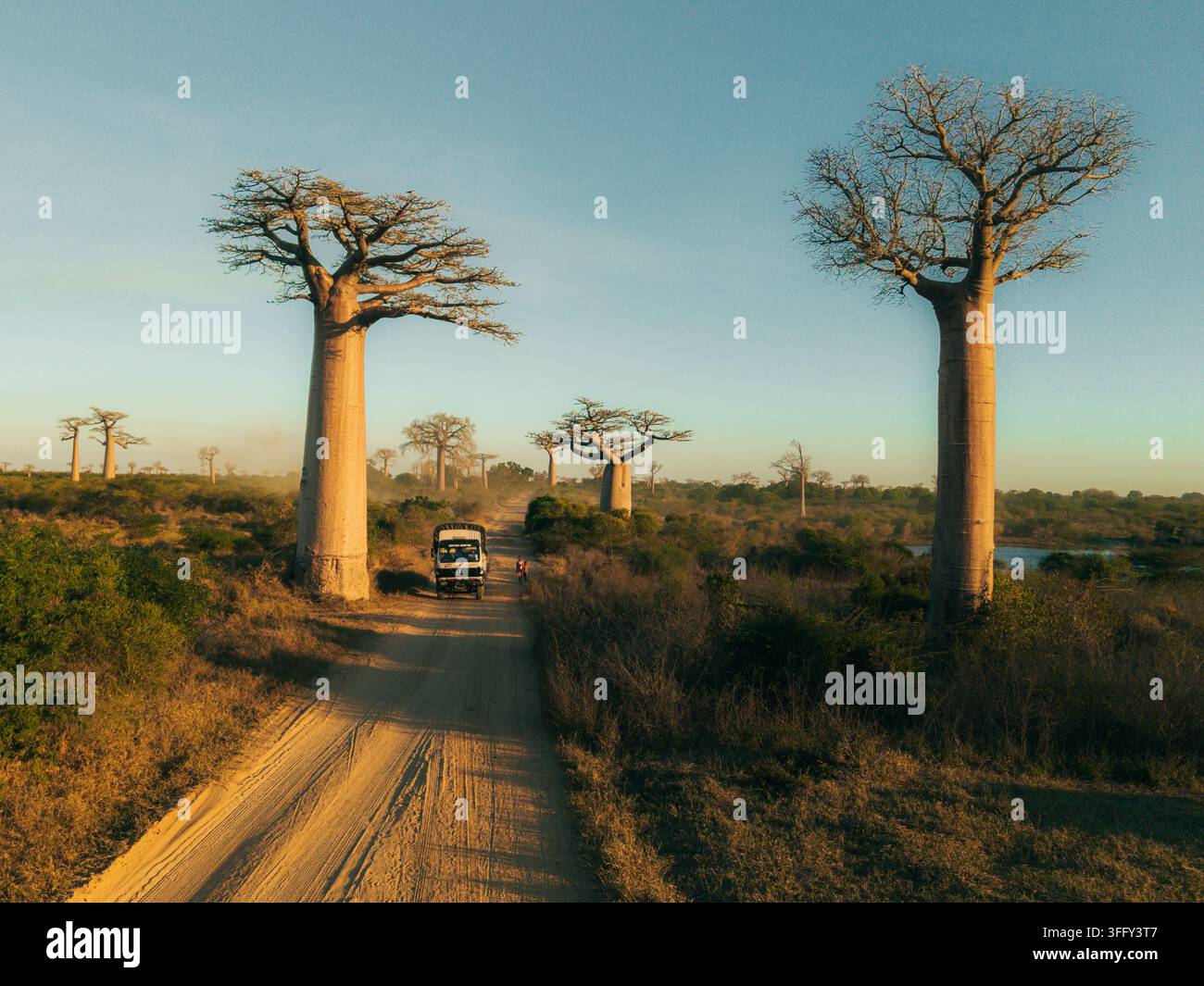 Vista aerea dell'Avenue dei Baobabs con un camion che percorre una strada sterrata polverosa circondata da iconici alberi di baobab nella luce dorata della tarda Af Foto Stock