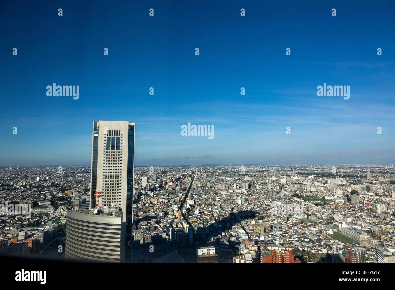 Vista aerea dello skyline di Tokyo con il Monte Fuji visibile all'orizzonte, regione di Kanto, Tokyo, Giappone Foto Stock