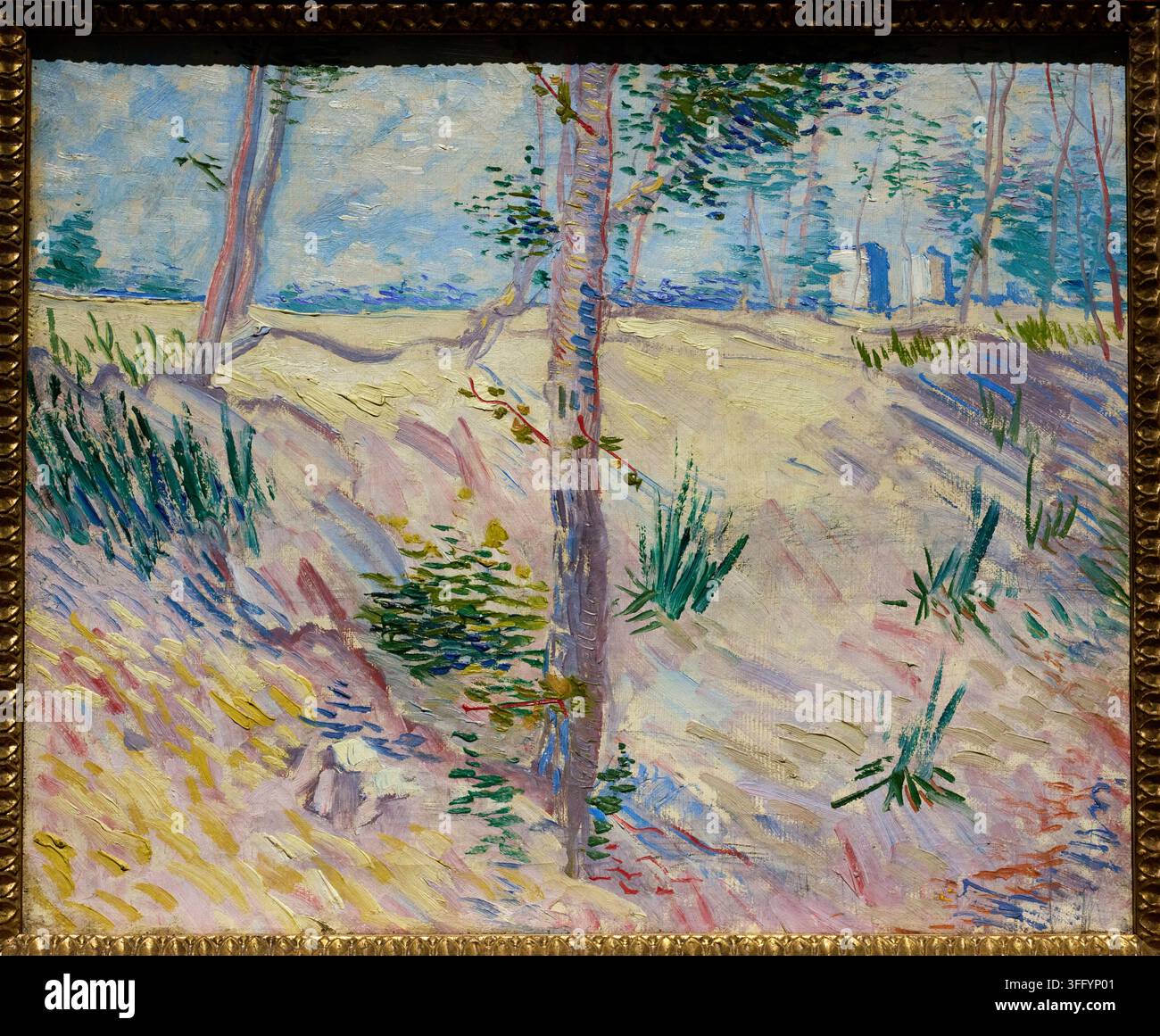 Riva con alberi, 1887, Vincent van Gogh (1853-1890), Rijksmuseum, Amsterdam, Paesi Bassi Foto Stock