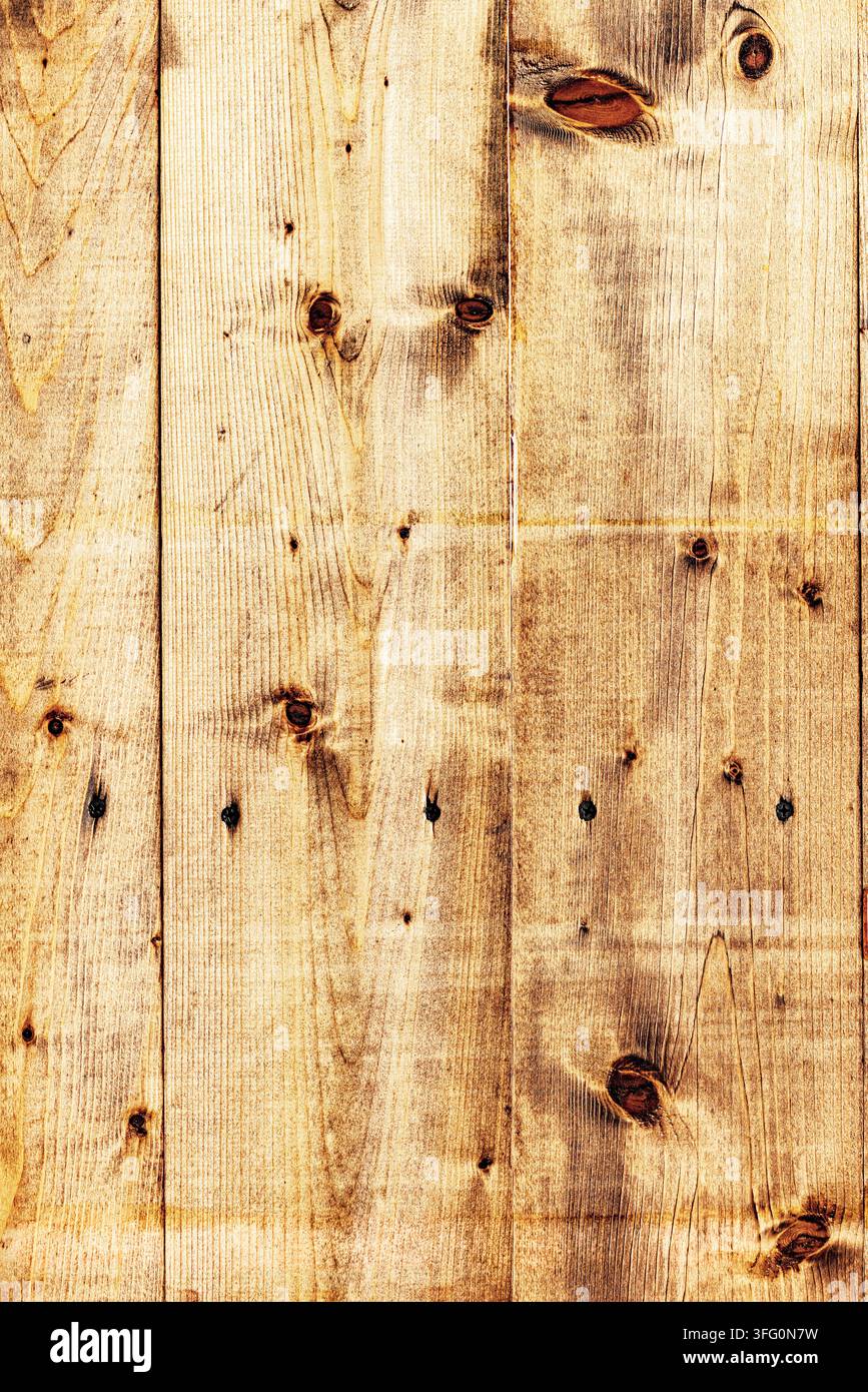 Le tavole strette si estendono dal basso verso l'alto, ogni pannello mostra motivi di venatura uniformi e segni circolari scuri sparsi sul legno. La consi Foto Stock