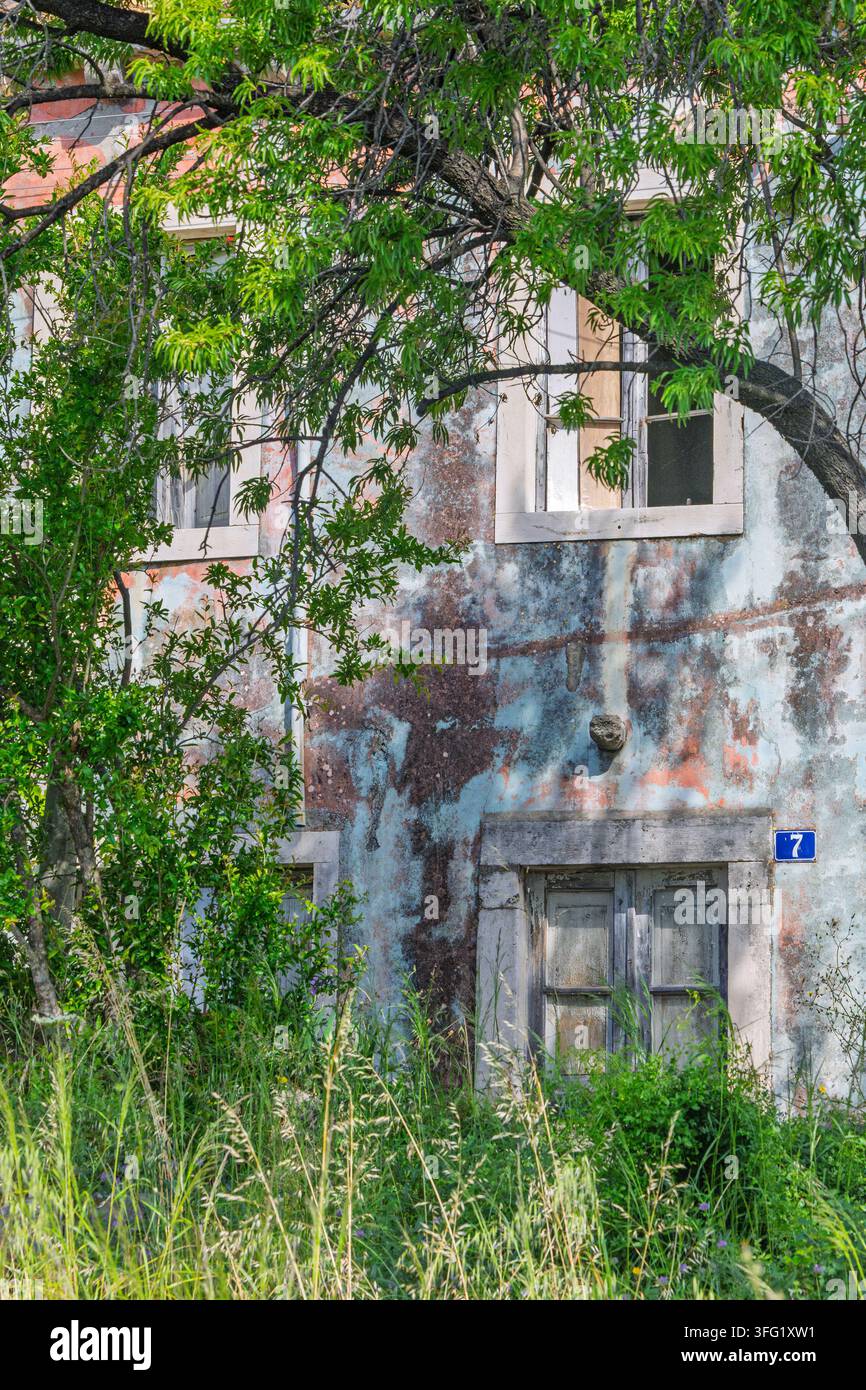 Una facciata di casa abbandonata e logorata nascosta dietro un giardino invaso dalla vegetazione e un albero inclinato, con vernice sbiadita, finestre sbarrate, porta rustica e un blu Foto Stock