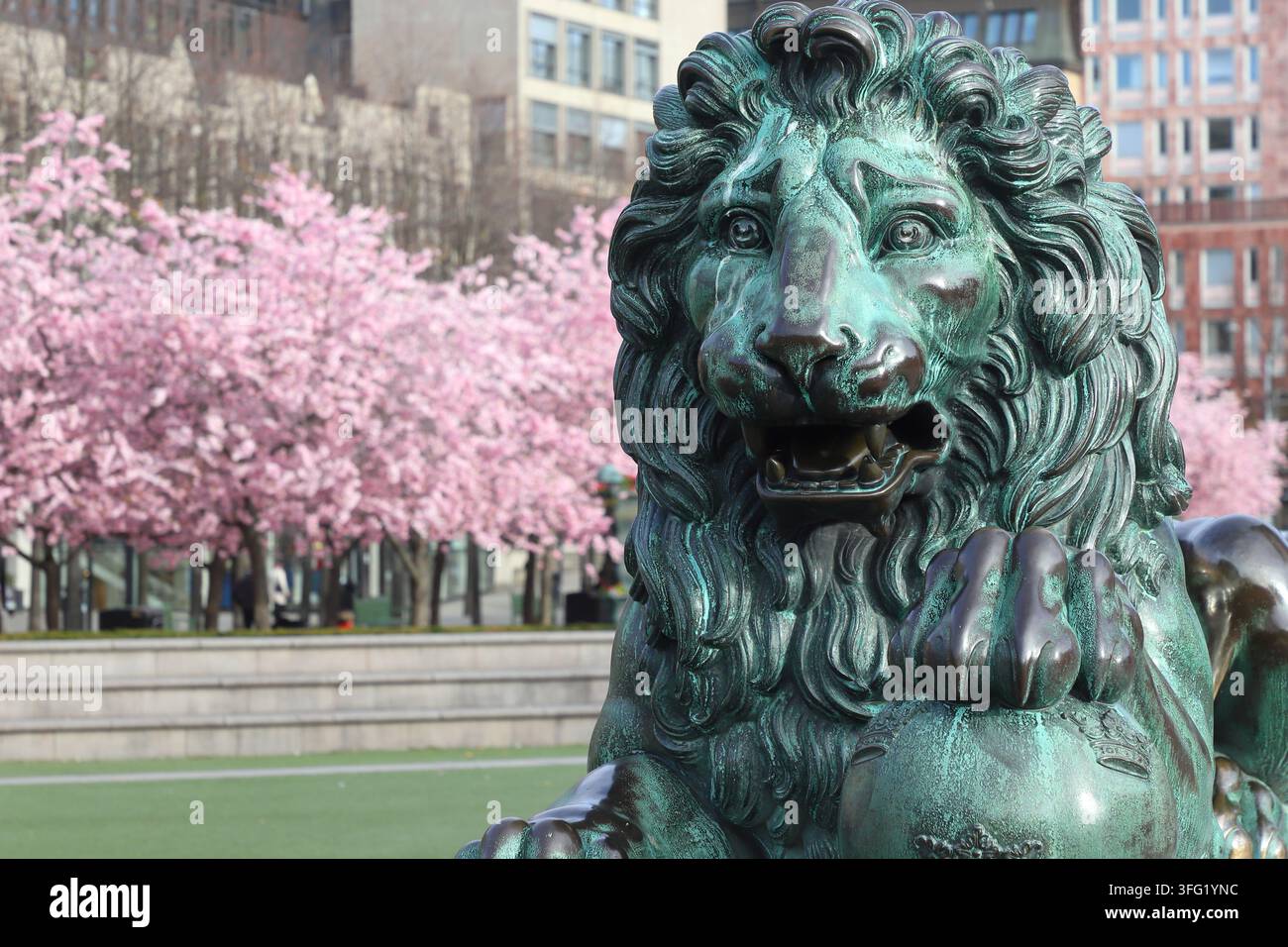 Primo piano di uno dei quattro leoni di bronzo che circondano la statua di Re Carlo XIII a Kungsträdgården, Stoccolma, Svezia. I leoni sono stati scolpiti da Foto Stock