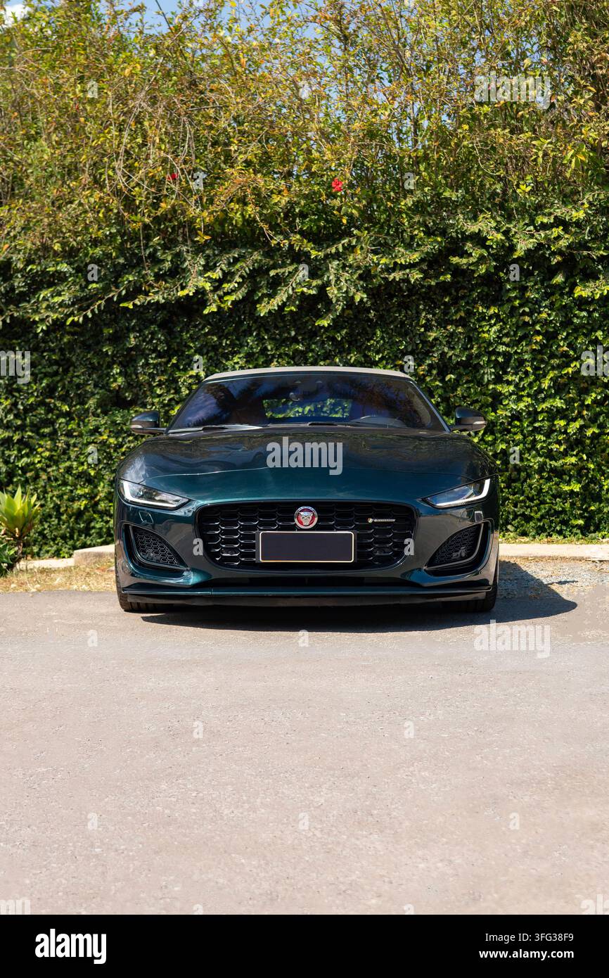 Auto sportiva decappottabile Jaguar F-Type verde scuro vista frontale Foto Stock