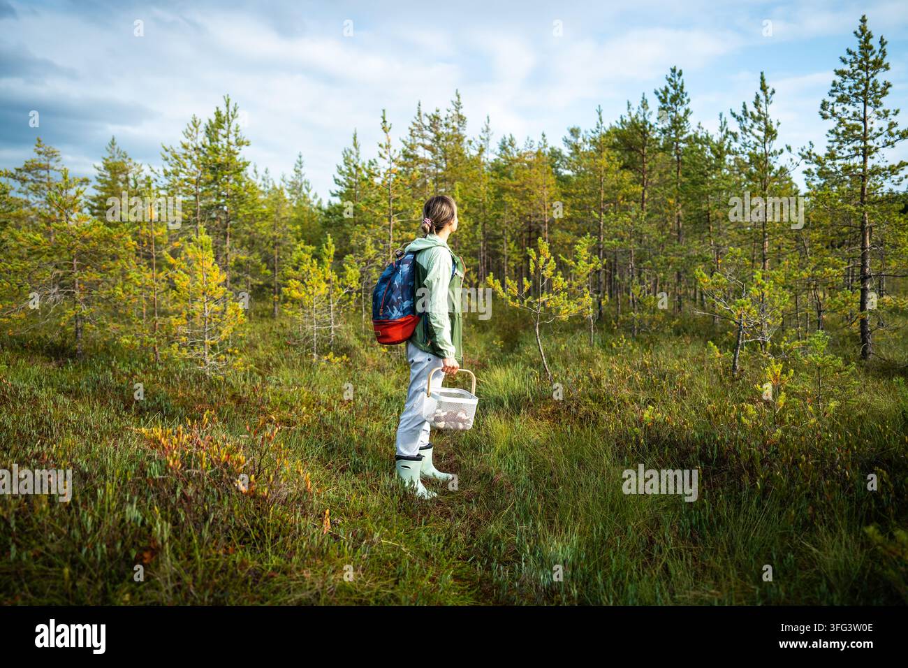 Donna che raccoglie porcini con un cestino in una foresta di pini paludosa durante un viaggio nella stagione autunnale Foto Stock