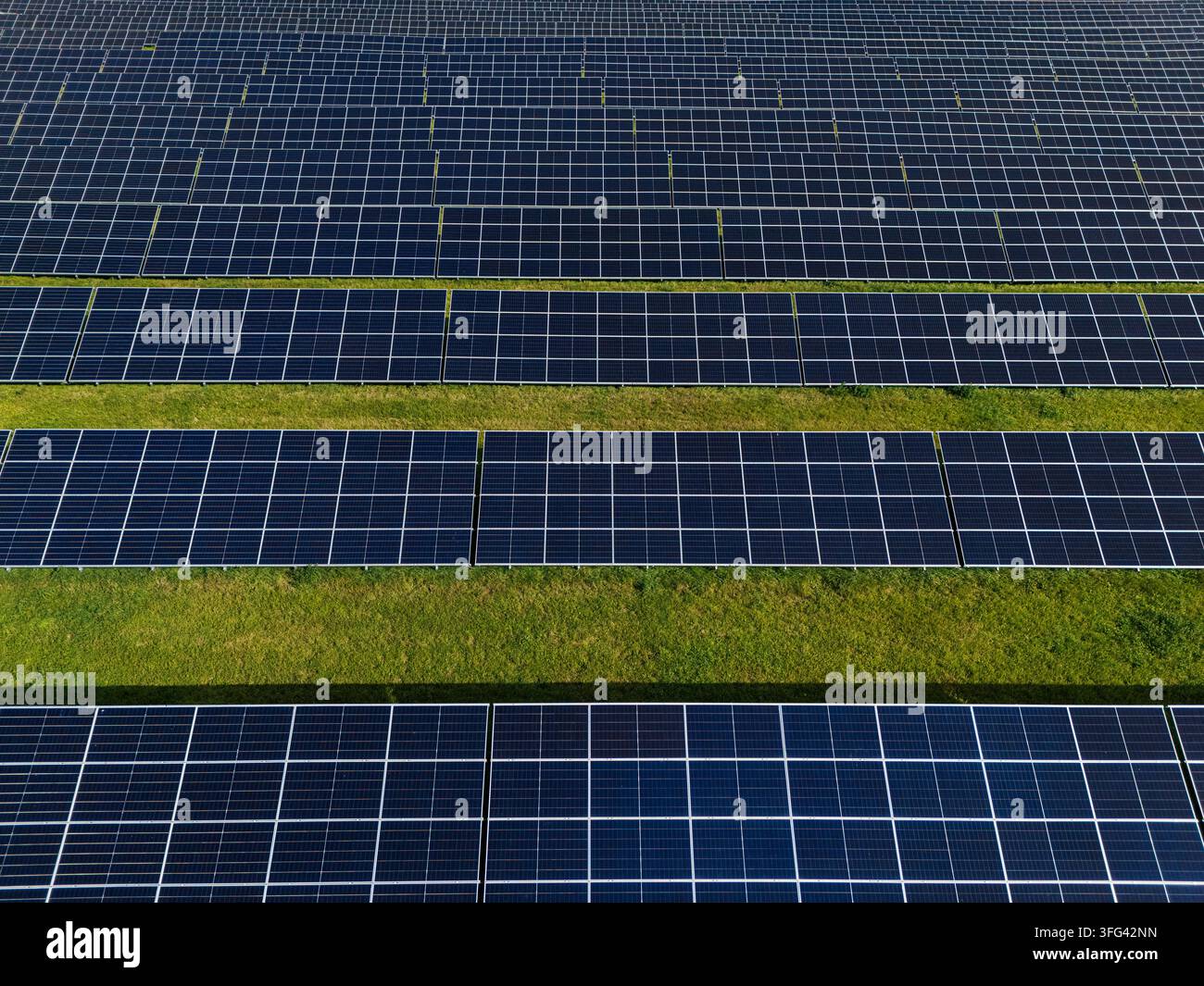 Vista aerea ravvicinata delle file di pannelli di una fattoria solare con strisce di erba verde tra di esse, concetto dettagliato di energia rinnovabile e impianto fotovoltaico. Foto Stock