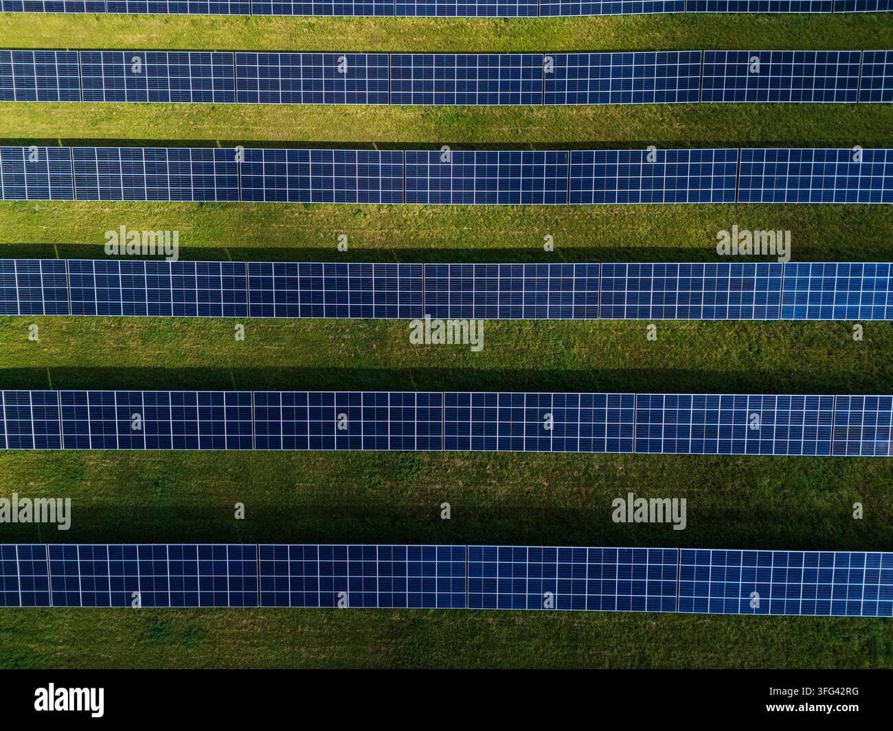 Veduta aerea dall'alto, primo piano delle file di pannelli di una fattoria solare che proiettano ombre sull'erba verde, modello astratto di energia rinnovabile e impianto fotovoltaico Foto Stock