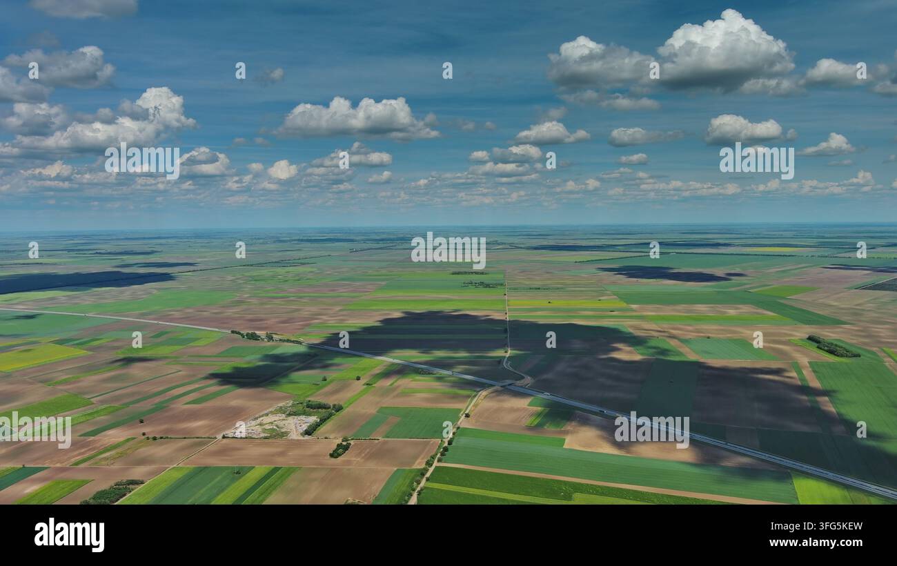 Vista aerea di campi agricoli verdi con piccole case di villaggio Foto Stock