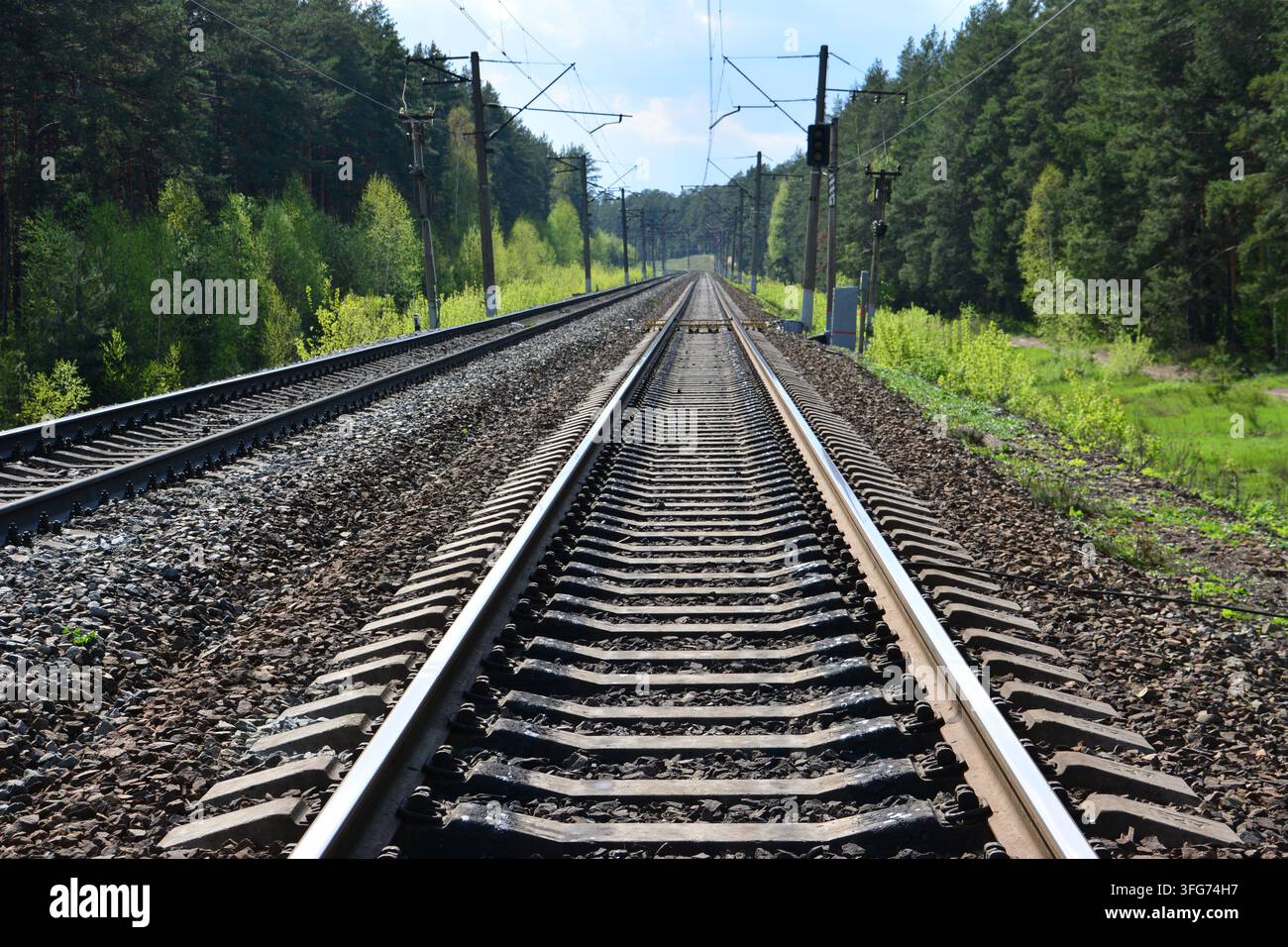 Una prospettiva di binari ferroviari che si snodano attraverso una foresta verdeggiante e lussureggiante Foto Stock