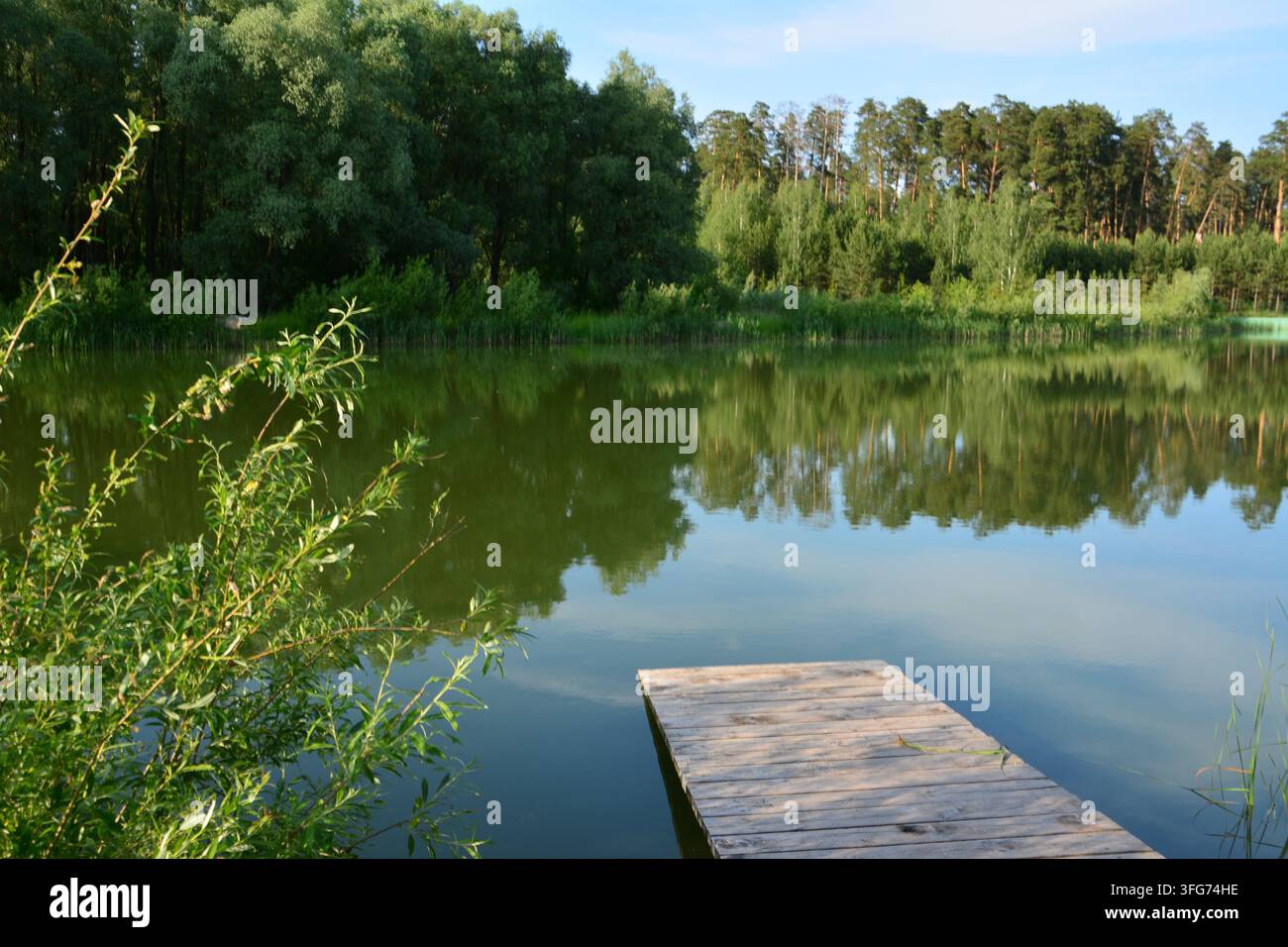 Pacevole scena sul lago con molo di legno e vegetazione lussureggiante che si riflette nell'acqua Foto Stock