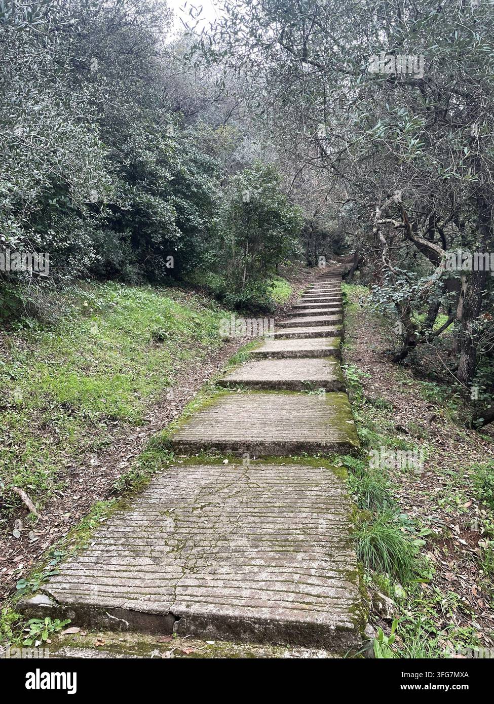 Nizza, Francia. Sentiero lastricato che sale verso il Fort du Mont Alban. - Immagine stock catturata con smartphone
