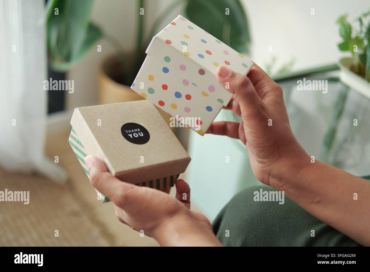 Due mani che tengono scatole regalo in una stanza luminosa con piante Foto Stock