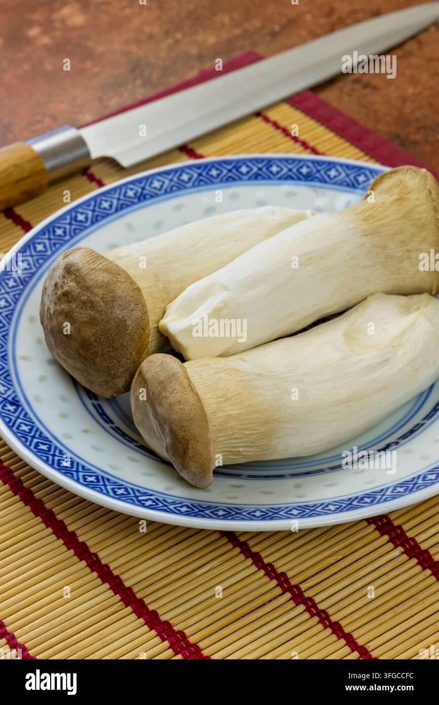 Champignons pleurote del re crudi su un piatto, Foto Stock