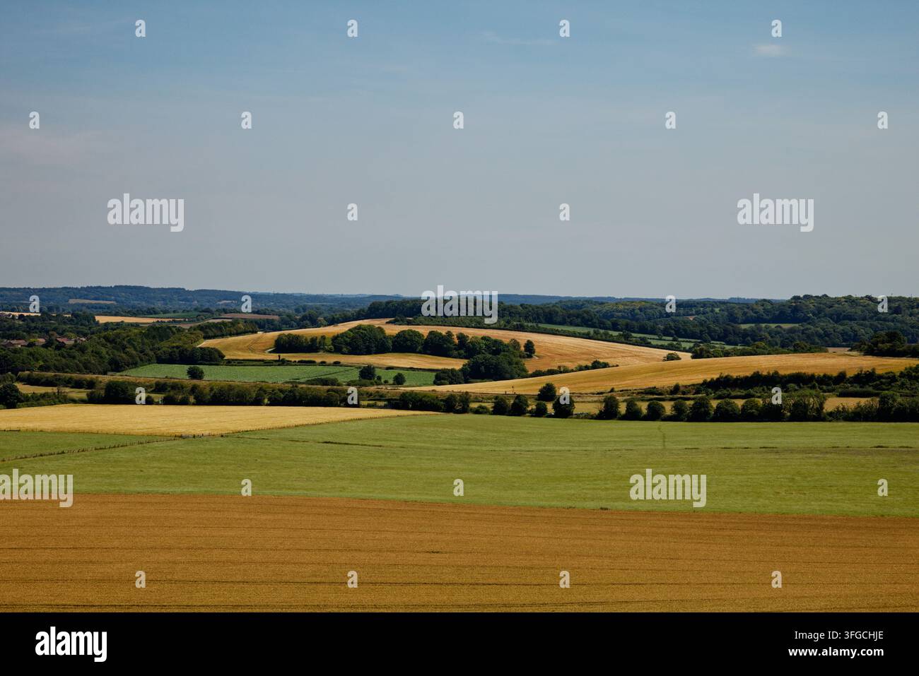 Un mosaico di campi e boschi nella campagna rurale con coltivazioni in maturazione nel tardo estate vicino a Dorchester, Dorset, Inghilterra. Foto Stock