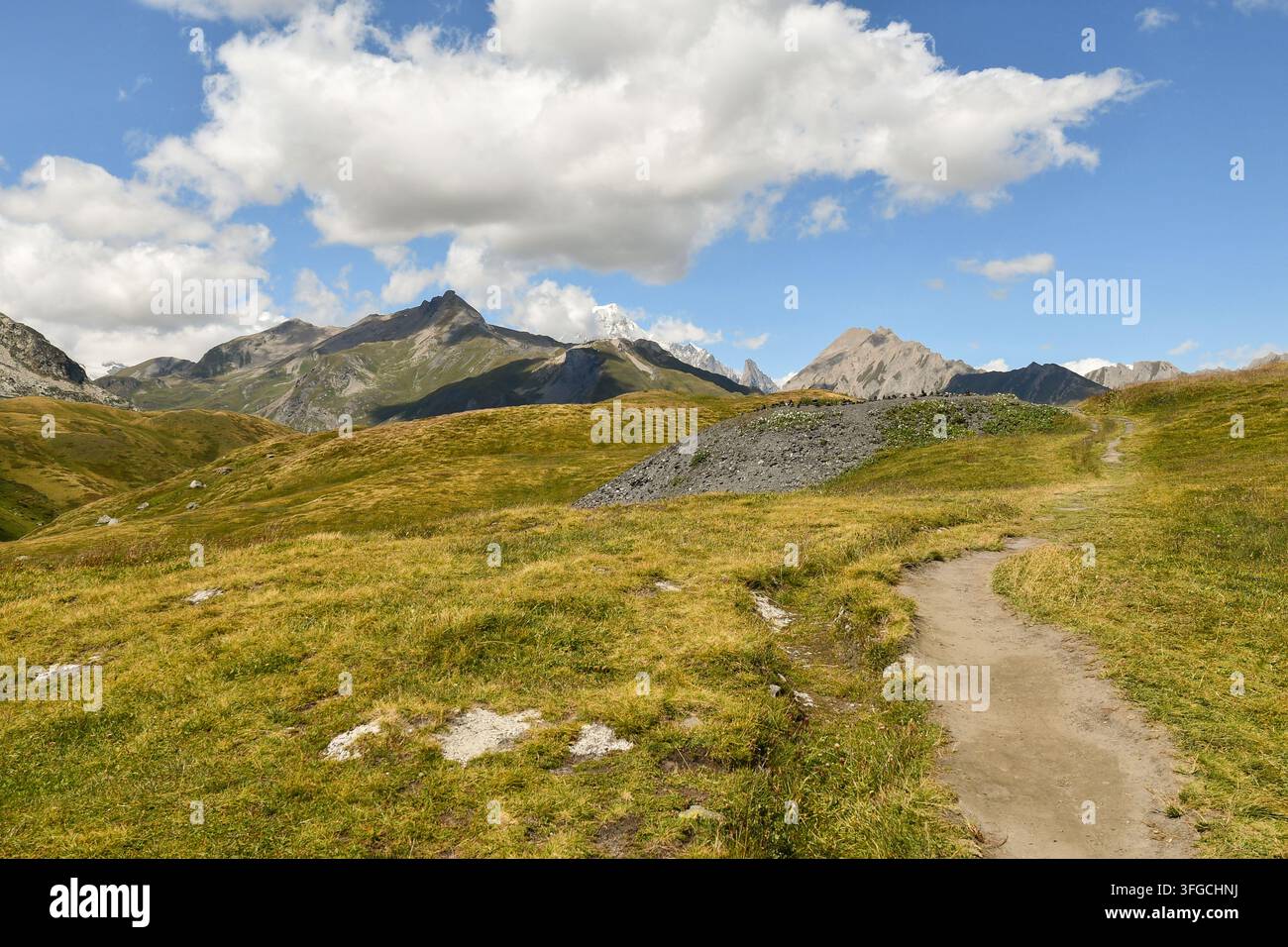 Sentiero escursionistico sterrato che si snoda tra prati alpini verdi con maestosi picchi montuosi. Passo del Piccolo San Bernardo, La Thuile, Valle d'Aosta, Italia Foto Stock