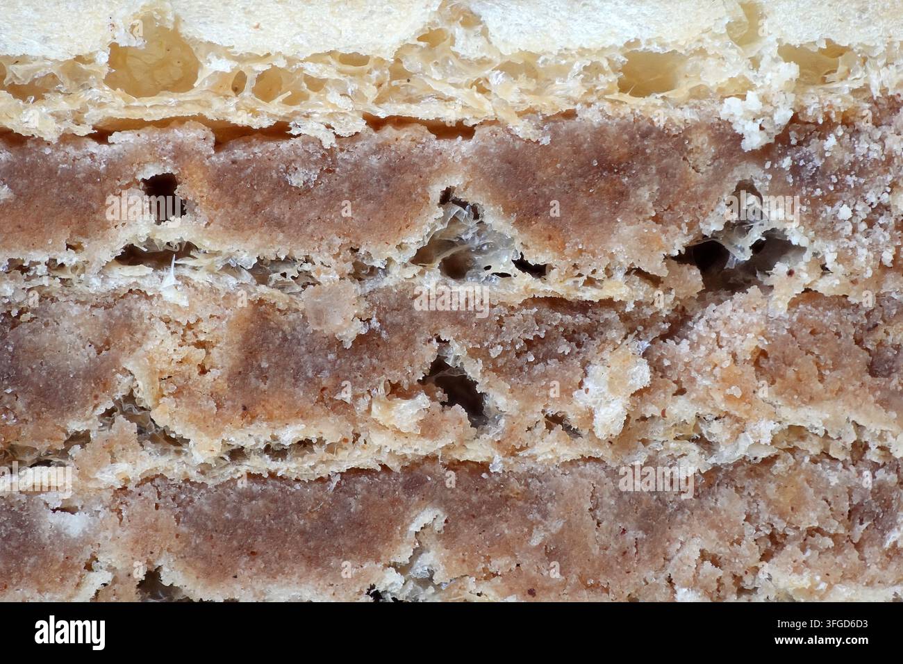 La foto mostra una vista ravvicinata di una torta a strati con texture visibili marroni e bianche. La torta sembra avere strati sottili e alcuni piccoli buchi. È Foto Stock