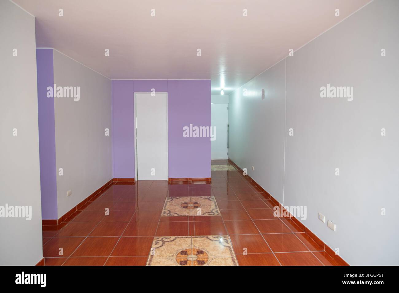 Configurazione della palestra di casa: Una palestra domestica compatta con una bicicletta da esercizio, un ellittico e un tapis roulant offre uno spazio comodo per un allenamento completo del corpo Foto Stock