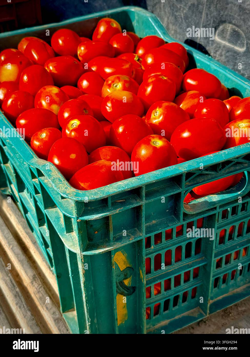 Pomodori rossi freschi esposti in una cassa di prodotti nella storica Medina di Sousse, Tunisia - Immagine stock catturata con smartphone