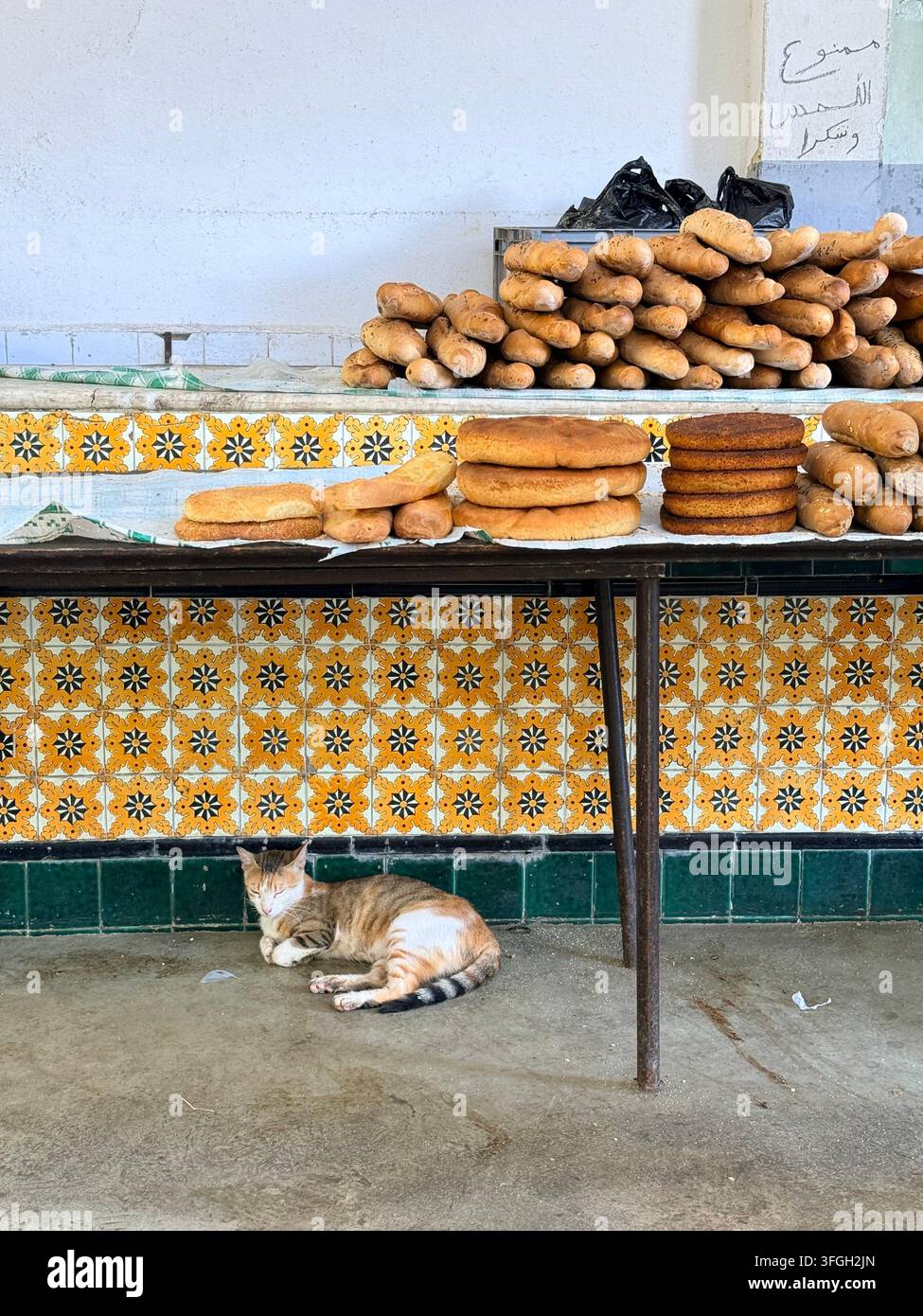 Ampia esposizione di pani e panini tradizionali, con un gatto che riposa sotto il bancone, nella storica Medina di Sousse, Tunisia Foto Stock