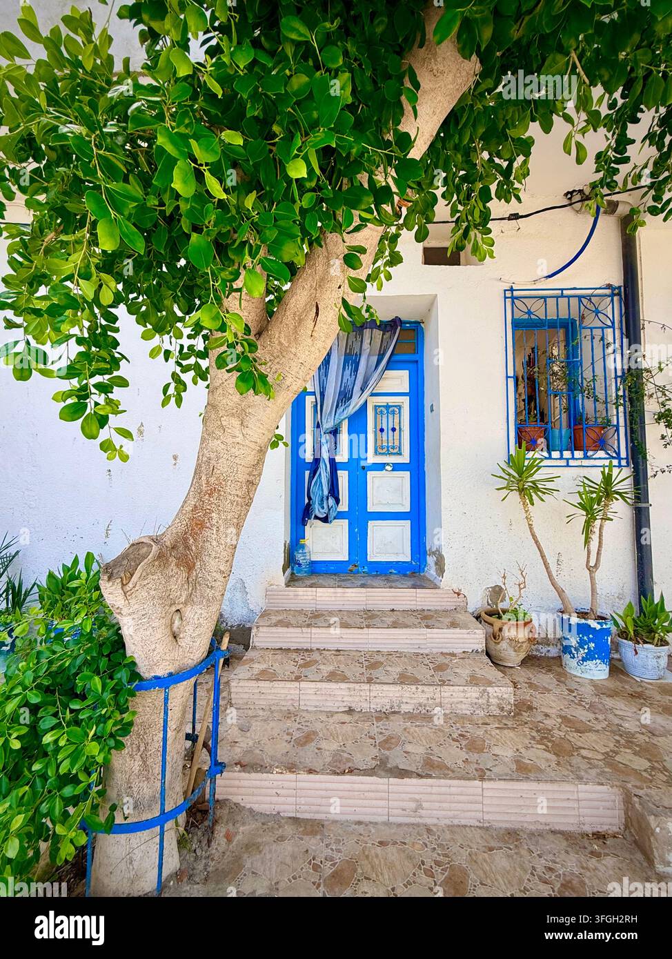 Ingresso tradizionale della casa blu e bianco ombreggiato da un albero frondoso a Hergla, una piccola città costiera mediterranea vicino a Sousse, Tunisia - Immagine stock catturata con smartphone