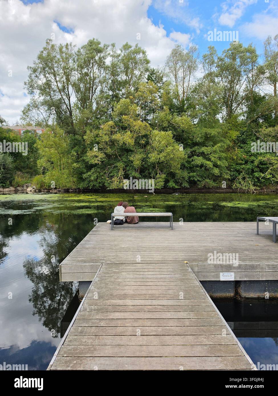 Persone sedute su una panchina di legno su un molo di legno accanto a un lago calmo circondato da alberi verdi e foresta in un paesaggio naturale estivo - Immagine stock catturata con smartphone