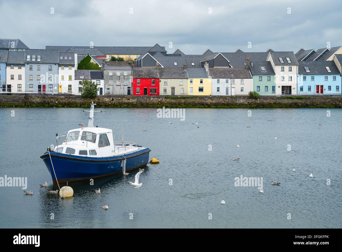 Incontro tra barca e vita avicola anima il porto di Galway mentre una barca a cabina blu galleggia tra i gabbiani davanti alle facciate colorate di The Long Walk, adatto per mar Foto Stock