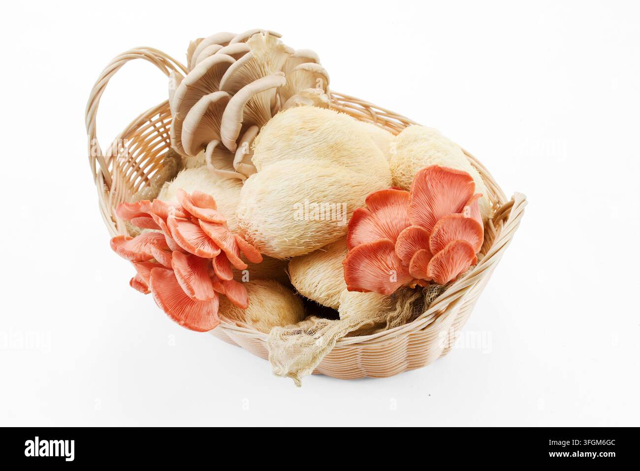 Cesto con funghi lion's mane freschi e pleuroti Foto Stock