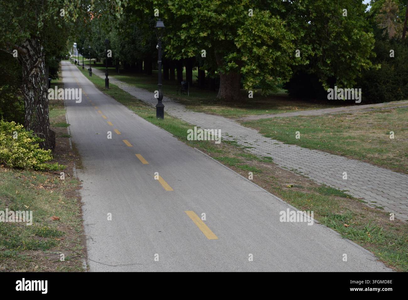 Pista ciclabile attraverso un parco alberato a Környe, Ungheria... Foto Stock