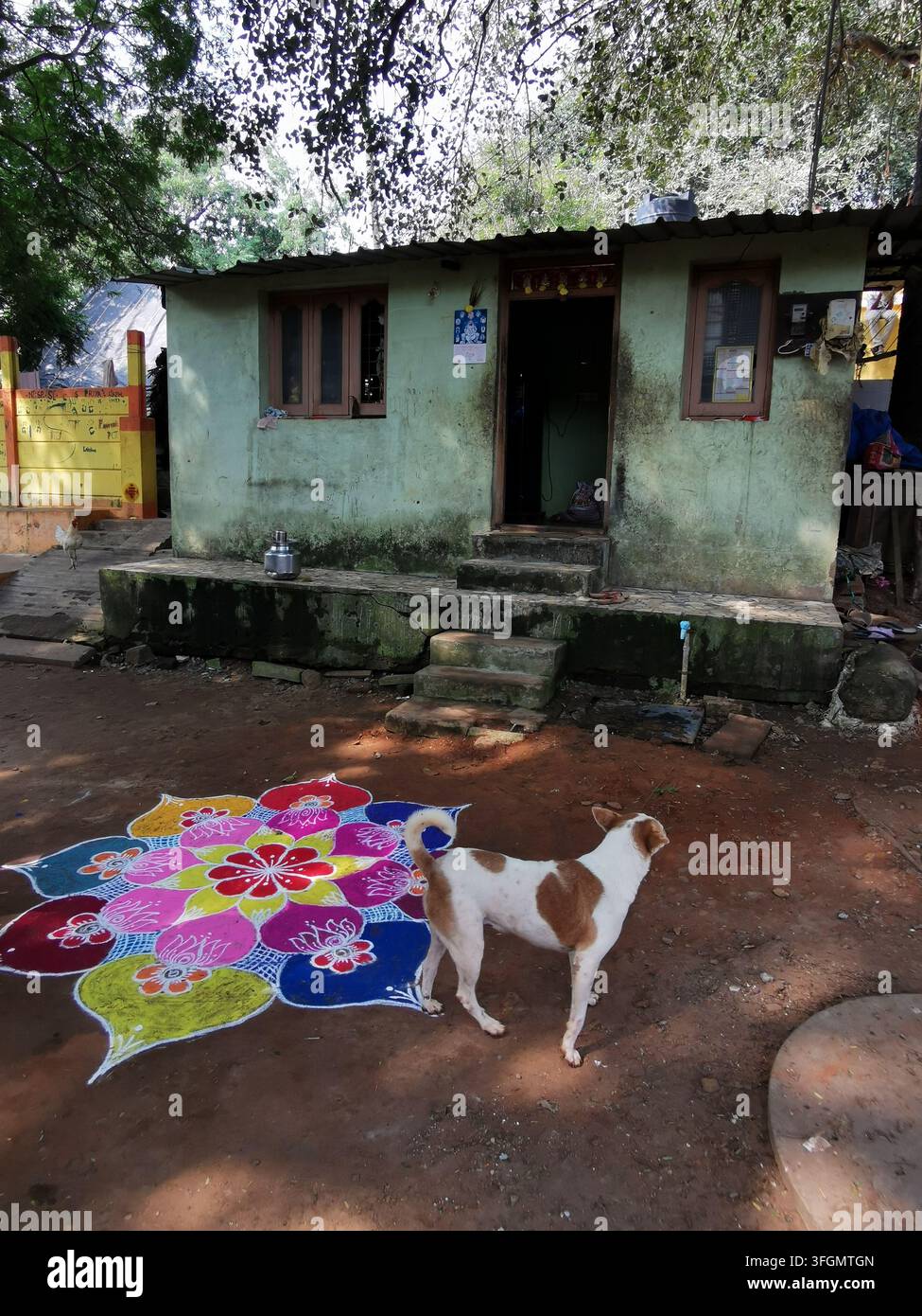 PONDICHERRY, INDIA - 17 GENNAIO 2026: Un colorato design Kolam a terra decora il cortile di una casa rurale durante la celebrazione del festival Pongal Foto Stock