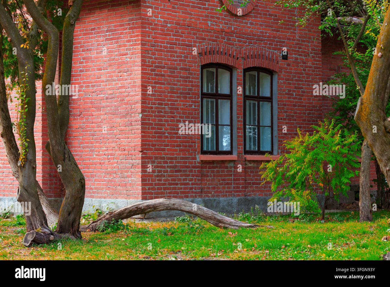idilliaco cortile verde tranquillo di un cottage in stile cottage core con atmosfera pacifica Foto Stock
