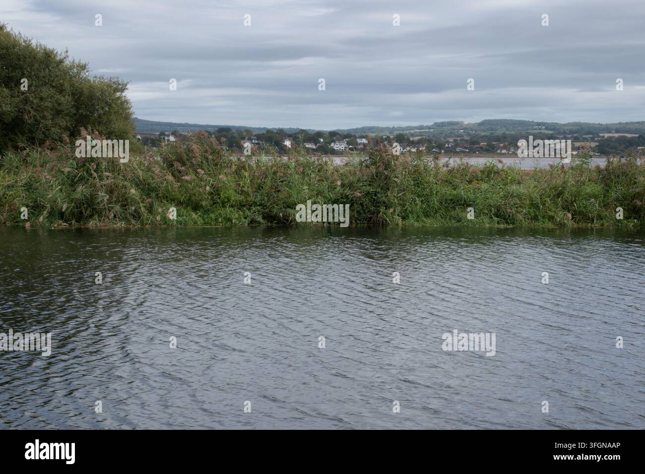Il canale di Exeter e l'estuario dell'Exe vicino a Exminster nel Devon, Inghilterra. Foto Stock