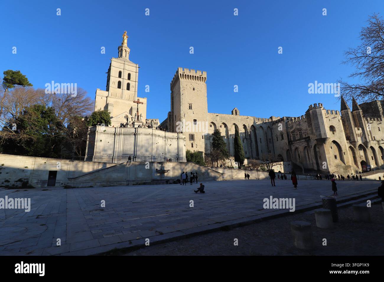 Il palazzo papale ad Avignon, visto dall'esterno, città di Avignon, dipartimento di Vaucluse, Francia Foto Stock