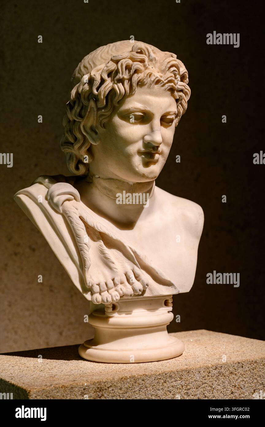 Testa di un satiro. Romano, metà del II secolo d.C. Marmo. Il Museo Calouste Gulbenkian, Lisbona, Portogallo. Foto Stock