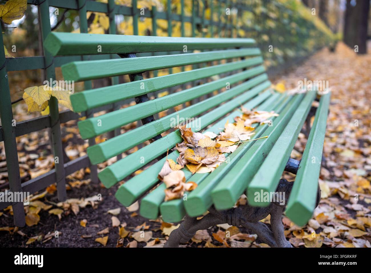 Panchina verde del parco coperta di foglie autunnali nel giardino estivo storico di San Pietroburgo Foto Stock