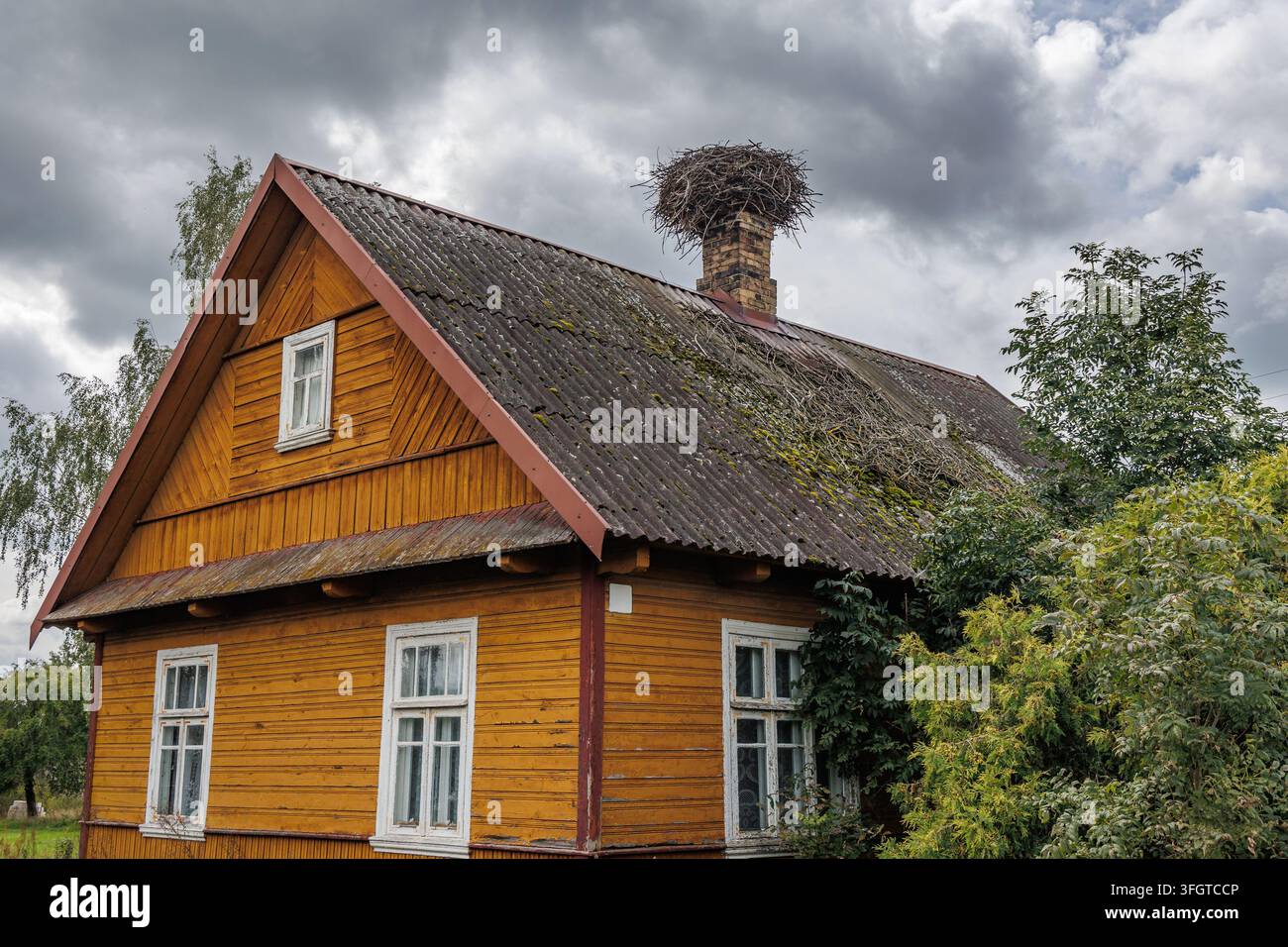 Casa tradizionale in legno del villaggio con un nido di cicogna sul comignolo a Podlasie, Polonia Foto Stock